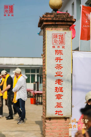 2024 Ban Zhang Village Spring Tea Harvest Festival