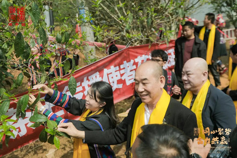 2024 Ban Zhang Village Spring Tea Harvest Festival