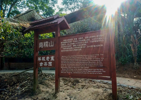Explore the Nan Nuo base of Chen Sheng Hao