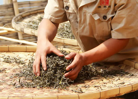 How is Pu’er tea being made in Chen Sheng Hao?