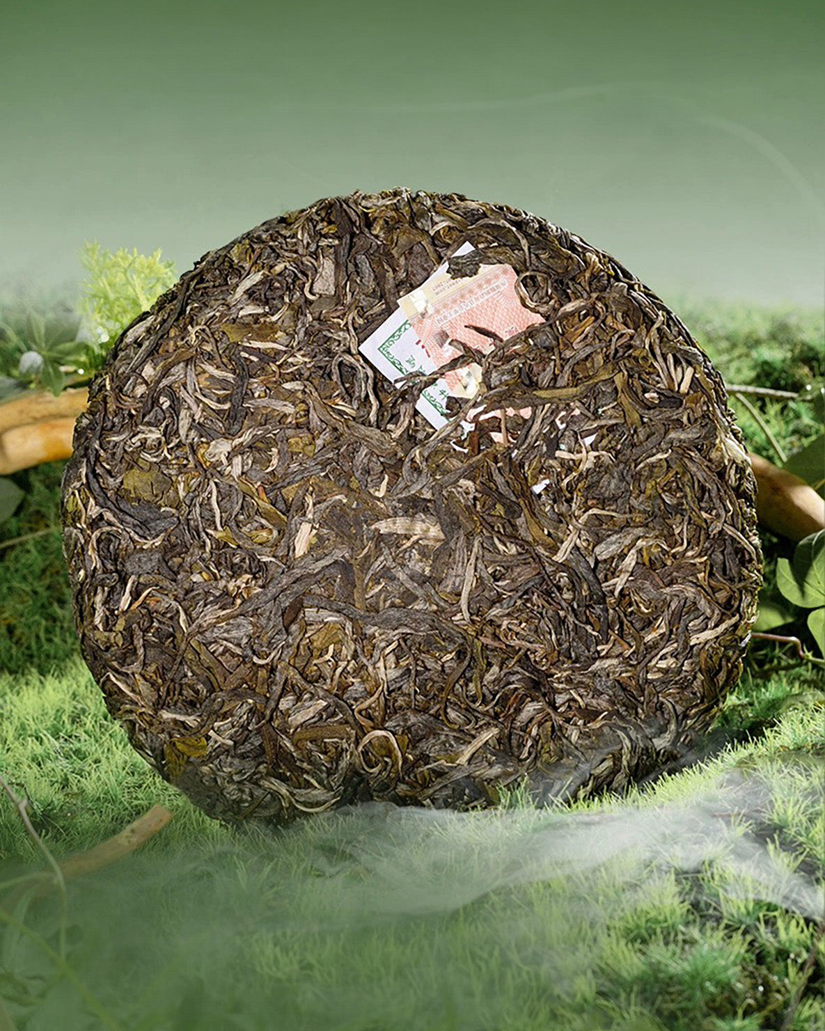 2024 Lao Ban Zhang Raw Pu-erh Tea - 357g - Pu Erh Tea