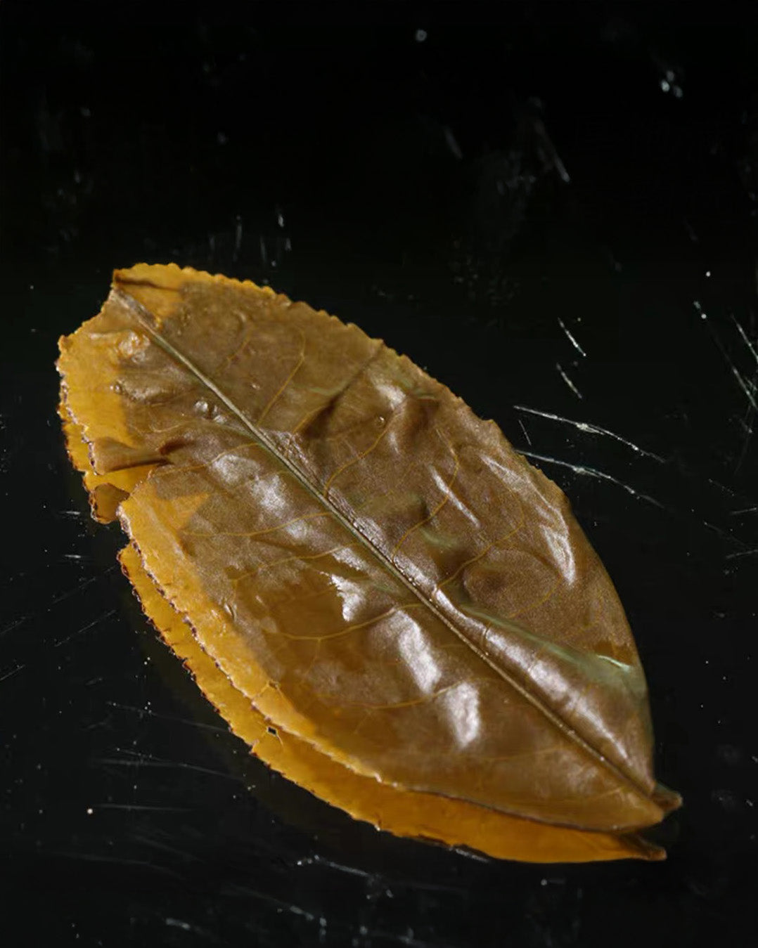 
                  
                    2026 Lao Ban Zhang Raw Pu-erh Tea
                  
                