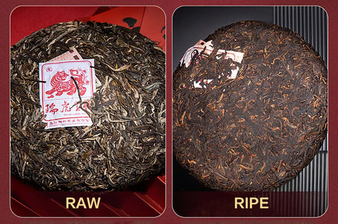 2022 Zodiac Tiger Ripe Pu-erh Tea