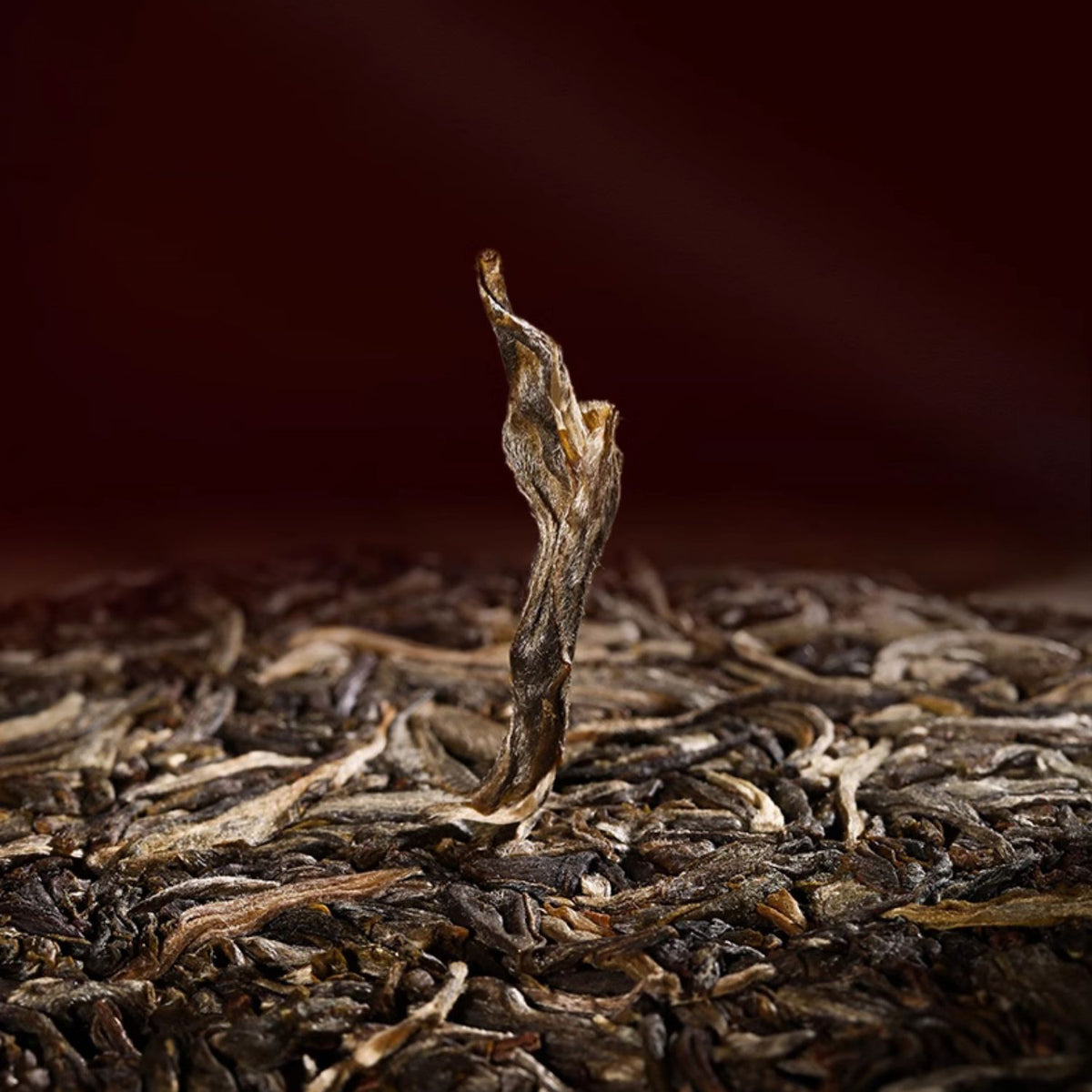 2024 Zodiac Dragon Raw Pu-erh Tea (3kg) – Cspuerh (Chen Sheng Hao)