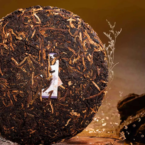 2023 Chen Pi Sheng Xiang Ripe Pu-erh Tea