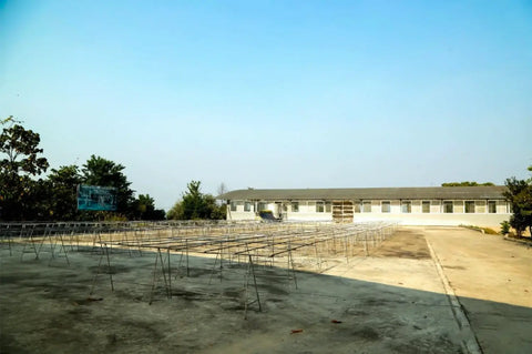 Explore the Nan Nuo base of Chen Sheng Hao