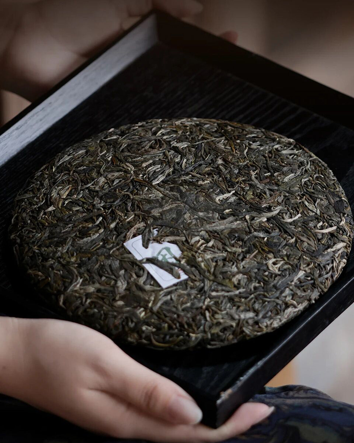 
                  
                    2026 Kunlu Shan Raw Pu-erh Tea
                  
                