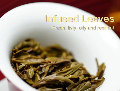 2024 Zodiac Dragon Raw Pu-erh Tea