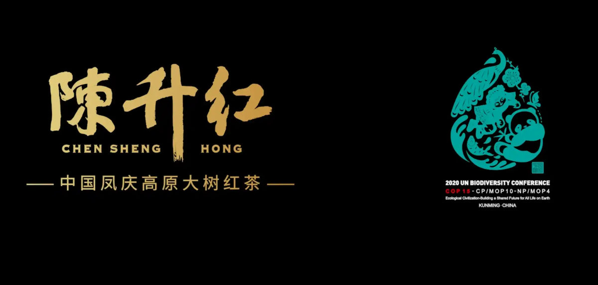Chinese tea brand logo and a biodiversity conference emblem.