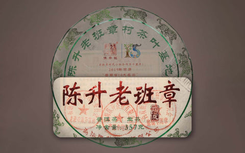 Everything About the King of Tea Lao Ban Zhang