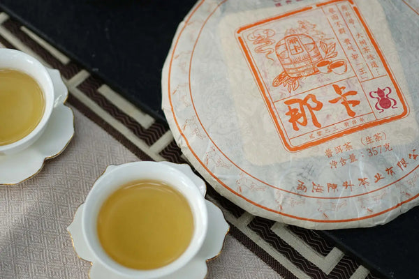 Guide to Start Pu-erh Tea as A Beginner