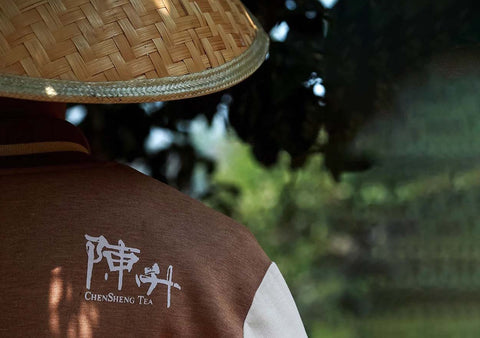 How is Pu’er tea being made in Chen Sheng Hao?