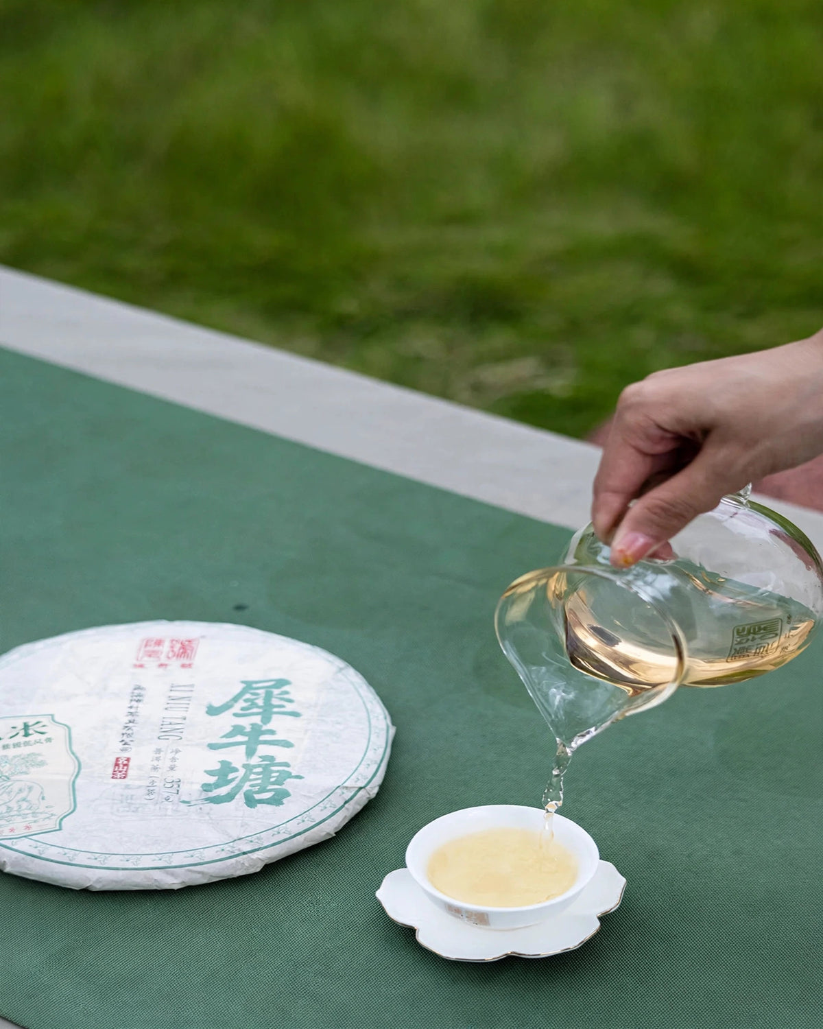 Pouring a cup of Chen Sheng Hao pu-erh beside a wrapped tea cake