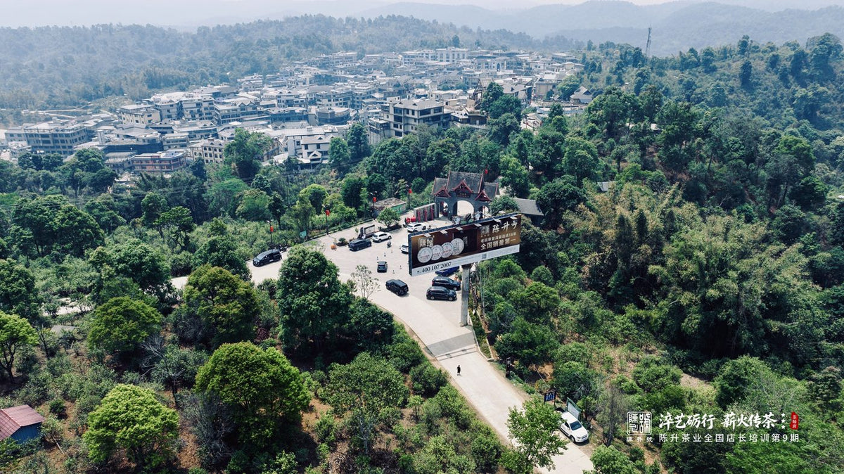 Lao Ban Zhang village among its tea gardens