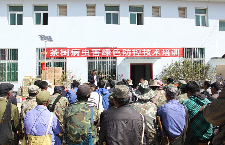 2013: Tea experts run green pest-control training for Lao Ban Zhang growers
