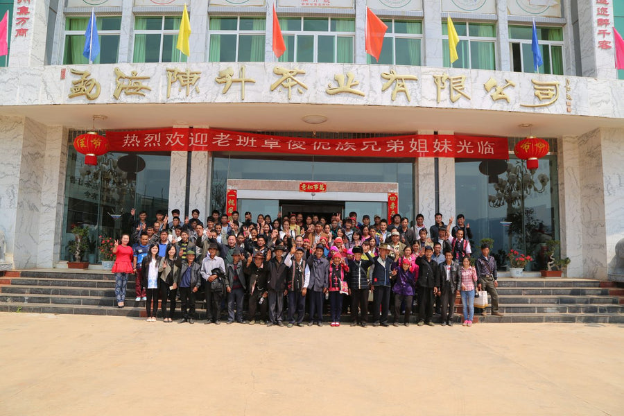 2014: Lao Ban Zhang villagers visit the Chen Sheng Hao factory in Menghai