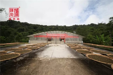 Explore the Nan Nuo base of Chen Sheng Hao