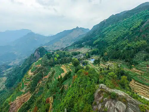 Lush green terraced mountains with a village nestled among them.
