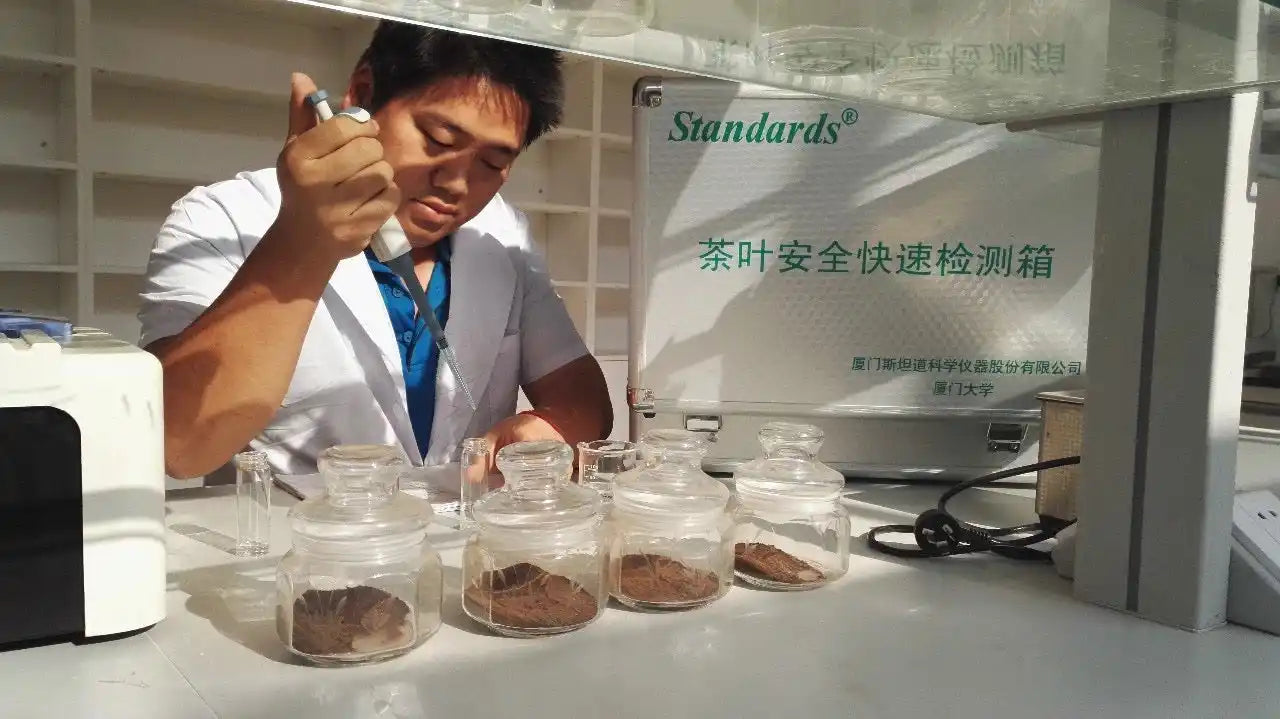 A person in a lab coat using a pipette to test samples of tea leaves.