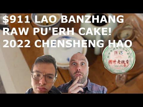 2022 Lao Ban Zhang Raw Pu-erh Tea