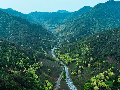 A winding road through a lush green valley.
