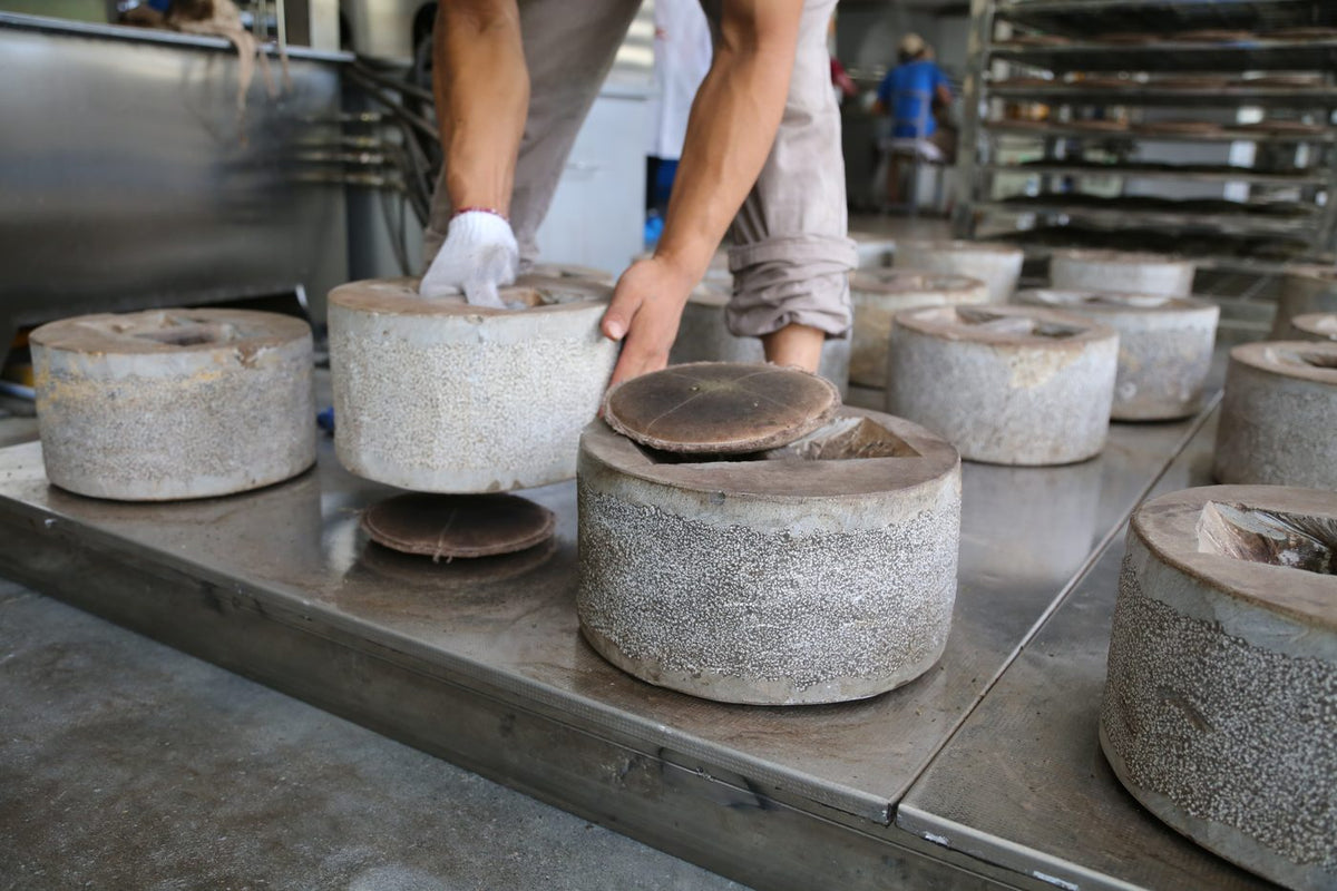 Step 11: Pressing tea cakes with the traditional stone press