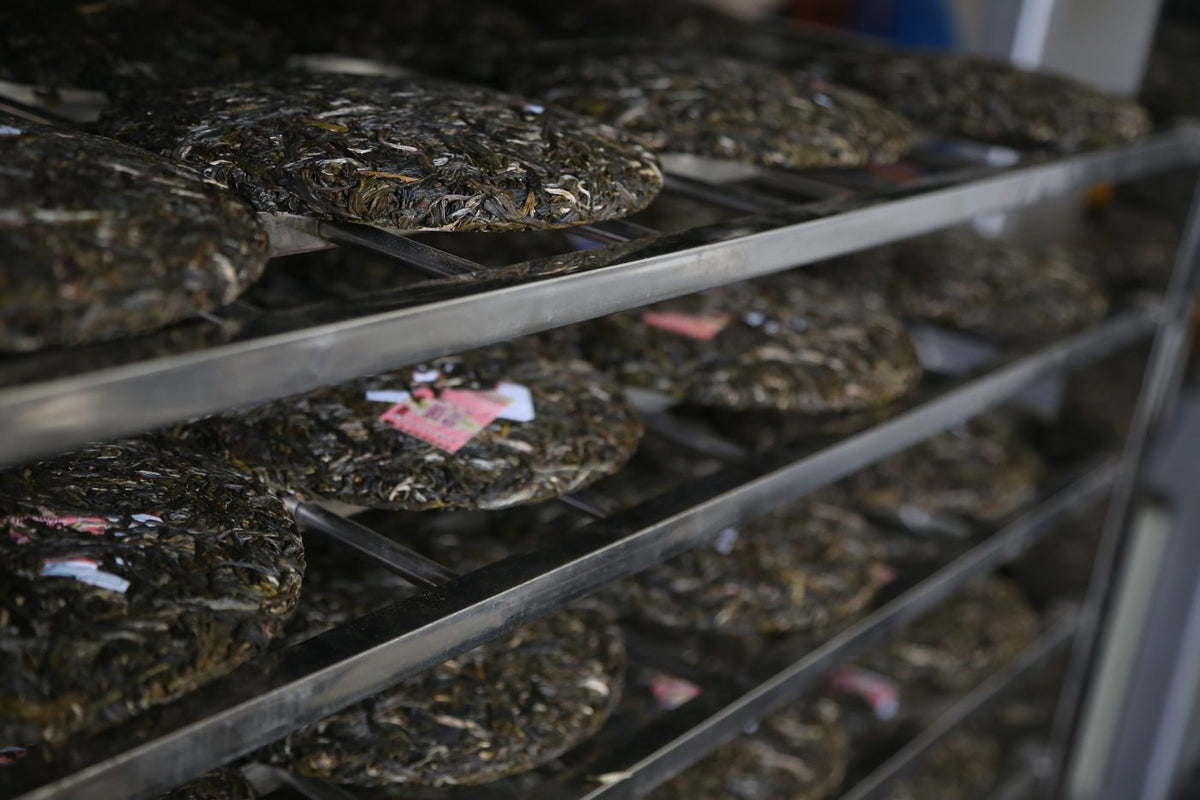 Step 12: Drying the pressed cakes to standard moisture