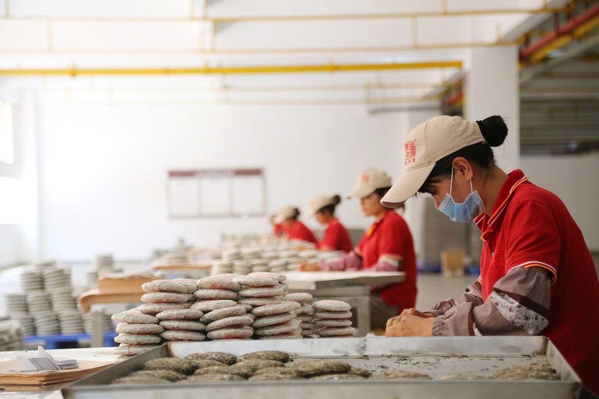 Step 13: Wrapping tea cakes in cotton paper by hand
