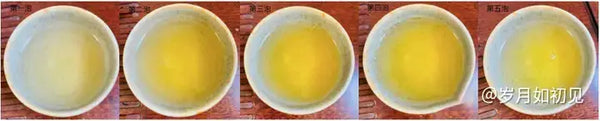 A Comprehensive Tasting of the Exquisite Ban Zhang Tea Series