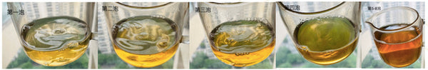 A Comprehensive Tasting of the Exquisite Ban Zhang Tea Series