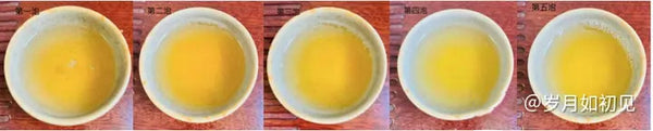 A Comprehensive Tasting of the Exquisite Ban Zhang Tea Series