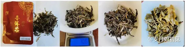 A Comprehensive Tasting of the Exquisite Ban Zhang Tea Series