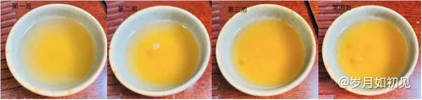 A Comprehensive Tasting of the Exquisite Ban Zhang Tea Series