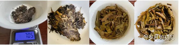A Comprehensive Tasting of the Exquisite Ban Zhang Tea Series