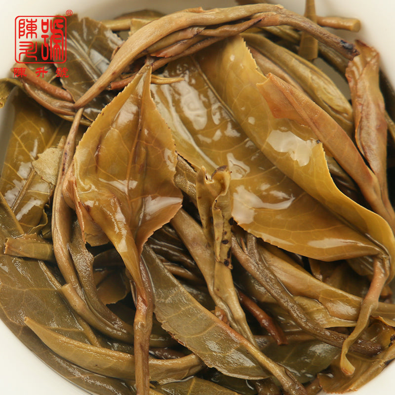 2019 Zodiac Pig Raw Pu-erh Tea - 500g - Pu Erh Tea