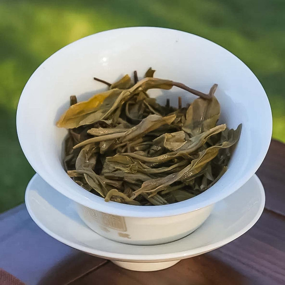
                  
                    2022 Chen Sheng Hao Raw Pu-erh Tea
                  
                