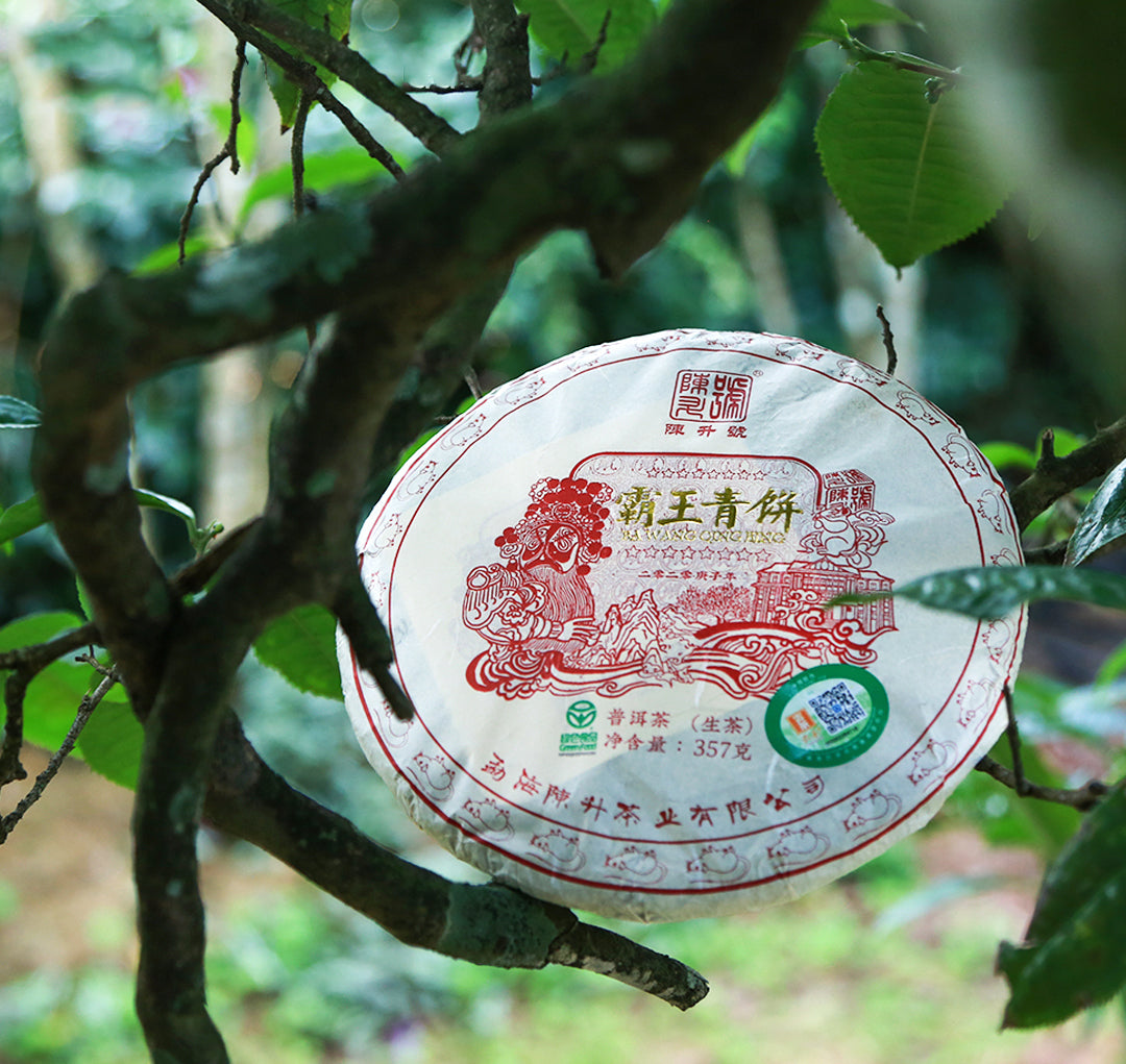 
                  
                    Chen Sheng Hao 2020 King Pu'er Tea Cake
                  
                
