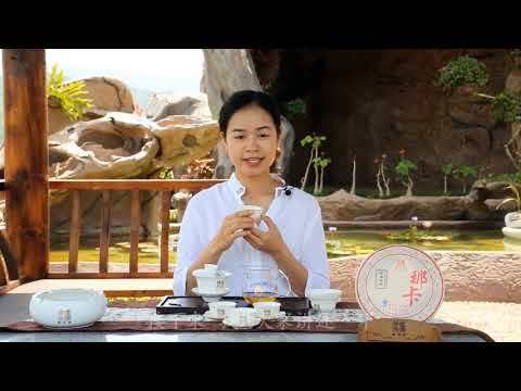 Introduction video for Chen Sheng Hao 2018 Na Ka Pu'er Tea Cake
